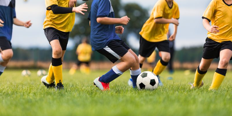 Những yếu tố ảnh hưởng đến dự đoán bóng đá World Cup