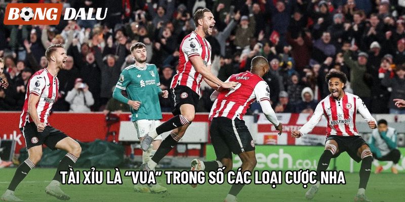 Tài Xỉu là “vua” trong số các loại cược NHA Tài Xỉu là “vua” trong số các loại cược NHA