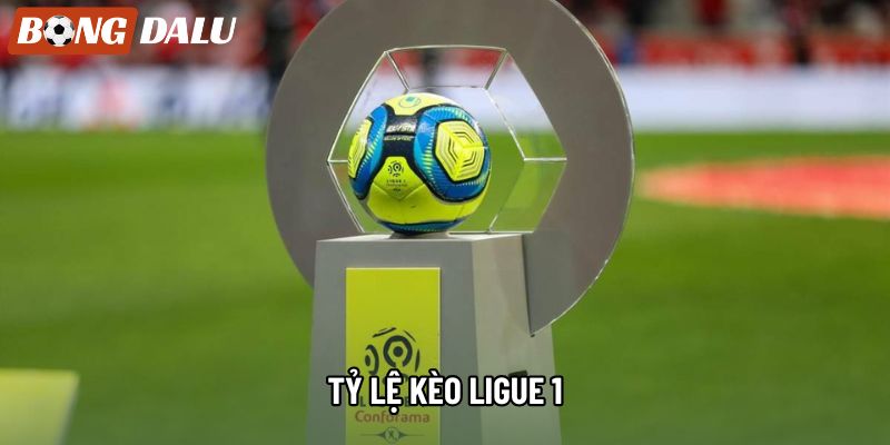Tỷ Lệ Kèo Ligue 1: Cơ Hội Đầu Tư Sinh Lời Mùa Giải 2026 
