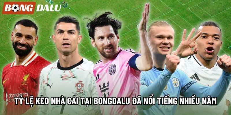 Tỷ lệ kèo nhà cái tại bongdalu đã nổi tiếng nhiều năm Tỷ lệ kèo nhà cái tại bongdalu đã nổi tiếng nhiều năm