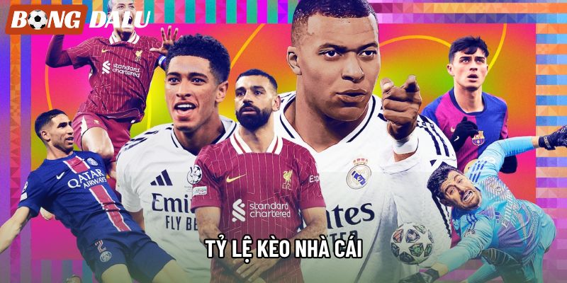 Tỷ Lệ Kèo Nhà Cái: Cập Nhật Dữ Liệu Nhanh Chóng Nhất 2026